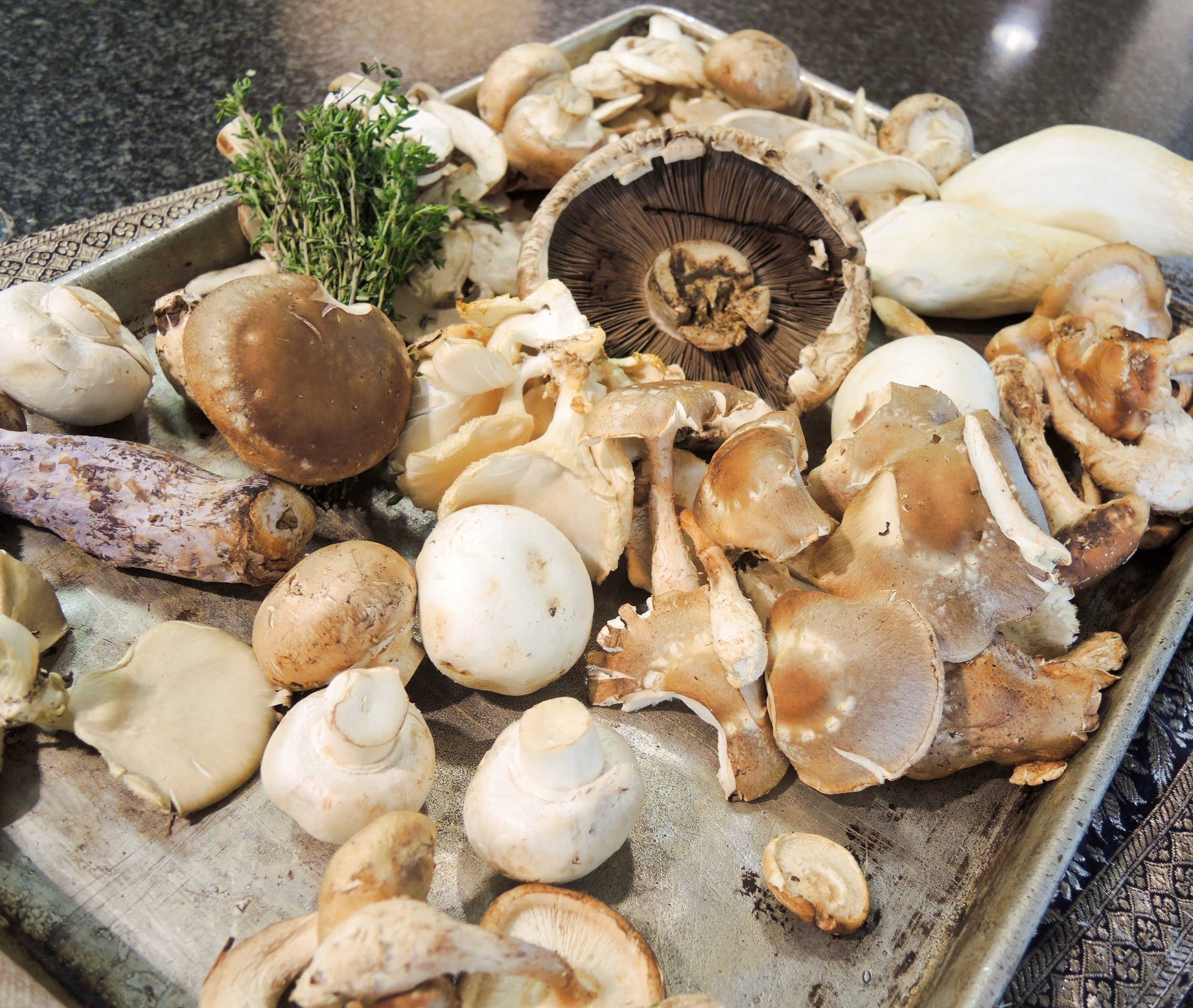 A Bounty of Mushrooms